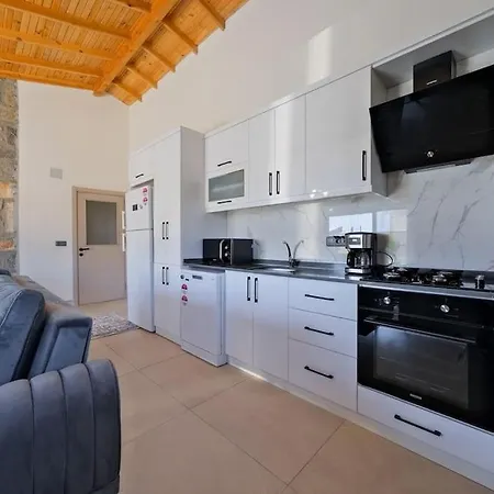 Tas Villa Fethiye