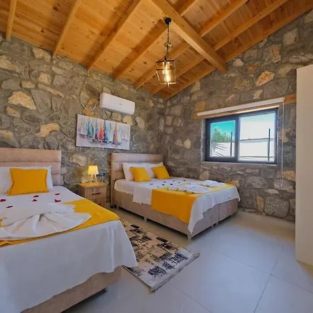 Tas Villa