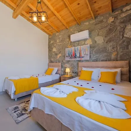 Tas Villa