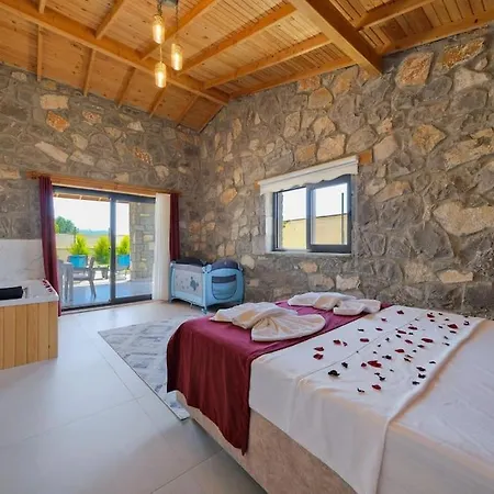 Tas Villa